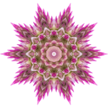 Wildflower Kaleidoscope Favicon 