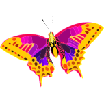 Abstract Colorful Butterfly Favicon 
