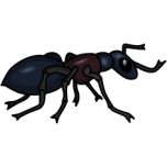 Ant Favicon 