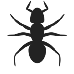 Ant Icon Favicon 