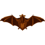Bat Wings Favicon 