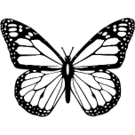 Black And White Butterfly Favicon 