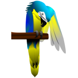 Blue And Yellow Macaw Parrot Favicon 
