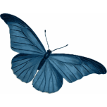 Blue Butterfly Favicon 