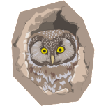Boreal Owl Favicon 