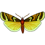 Butterfly Favicon 