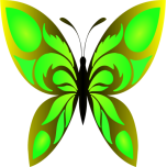 Butterfly  Colour Favicon 