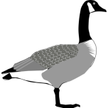 Canada Goose Favicon 