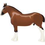 Clydesdale Horse Favicon 