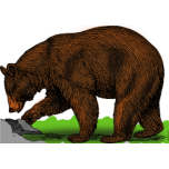 Colored Bear Favicon 