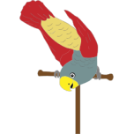 Colorful Parrot On Perch Favicon 