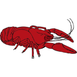 Crayfish Favicon 