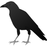 Crow Favicon 