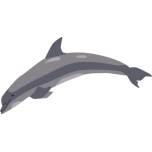 Dolphin Favicon 