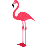 Flamingo Favicon 
