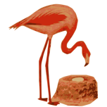 Flamingo Nest Favicon 