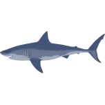 Great White Shark Favicon 
