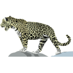 Jaguar Favicon 