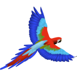 Macaw Favicon 