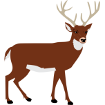 Male Deer Favicon 