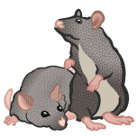 Mice Favicon 