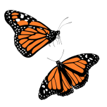 Monarch Butterfly Back And Topviews Favicon 