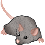 Mouse Favicon 