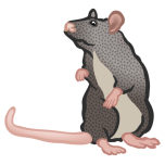 Mouse Two Favicon 