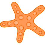 Orange Starfish Favicon 