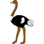 Ostrich Favicon 