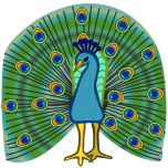  Peacock      Favicon Preview 