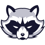 Raccoon Face Logo Favicon 