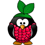 Raspberry Penguin Favicon 