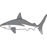 Simple Shark Favicon 
