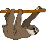 Sloth Favicon 