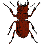 Stag Beetle Favicon 