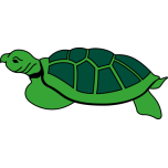 Turtle Favicon 