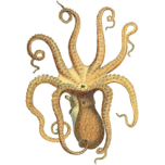 Vintage Octopus Favicon 
