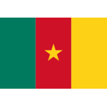  Flag Of Cameroon   Favicon Preview 
