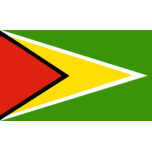 Guyana Favicon 
