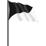 Motor Racing Flag    Black And White Flag Favicon 