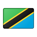 Tanzania Flag Bevelled Favicon 