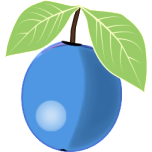 Blueberry Favicon 