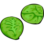 Brussels Sprouts Favicon 