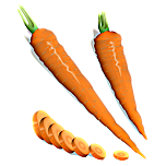 Carrots Favicon 
