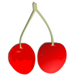 Cherry Favicon 
