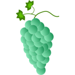 Colored Grapes   Green Favicon 