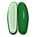 Cucumbers Favicon 
