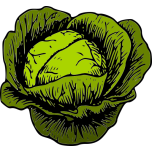 Green Cabbage Favicon 