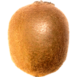 Kiwifruit Favicon 